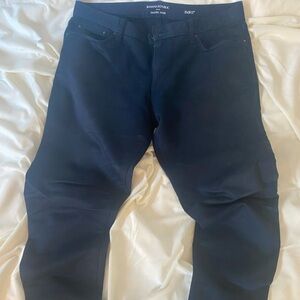 Banana Republic Navy Travel Jeans